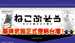 喵星人武装变身!猫奴们只能收编啦~~~