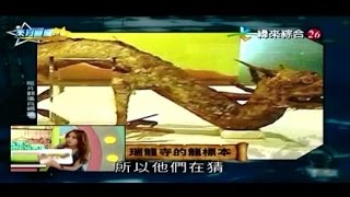 来自星星的事 20150219 星際怪談 這影片真的假的?! 龍