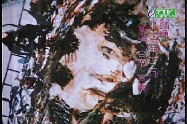 民國84年轟動全臺的故事