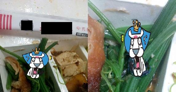 打開便當盒正準備下筷卻發現一根「藍色的菜」…仔細一看差點連胃都吐出來！  