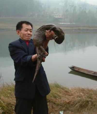 釣魚的靈異事件 絕不是釣到蛇釣到龜 而是......  
