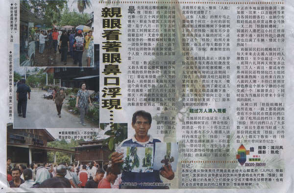 馬來西亞樹妖?