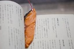 吃货能忍住吗？鲜美食物做书签