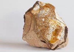 这些东西竟然都是动物的屎